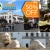 [Imagen:¡Paga $30 en lugar de $60 por Tour Guiado a Guatemala: Entrada al Zoológico La Aurora + Visita a Oakland Mall y Paseo Cayalá y más con Travel Connections! ¡SÓLO 200 CUPONES DISPONIBLES!]