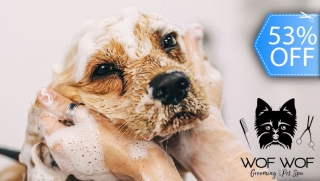 [Image: Grooming para Tu Mascota: Baño, Cepillado de Dientes, Secado y Masm]