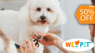 [Image: Grooming para Tu Mascota: Baño + Corte + Limpieza de Oídos y Másm]