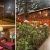 [Image: ¡Vive el Clima Fresco de Montaña! ¡Paga $37 en Lugar de $77 por Estadía de 1 Noche para 4 Personas en Habitación Doble + 2 Desayunos Típicos en Hotel y Restaurante La Posada del Cielo en El Pital, Chalatenango!m]