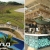 [Image: ¡Oceana Resort TODO INCLUIDO VIERNES A SÁBADO! ¡Paga Q2,500 en Lugar de Q3,040 por Estadía Familiar para 2 Adultos y 2 Niños (De 0 a 5 Años) en Habitación Superior + Impuestos Incluidos!m]