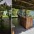 [Image: ¡Playa, Lancha y Relax! ¡Paga $390 en Lugar de $749 por Escapada Náutica Premium Hasta Para 9 Personas que Incluye: Estadía de 1 Noche en Isola Beach House, Costa del Sol + Paseo en Lancha Deportiva al Atardecer por el Estero Jaltepeque!m]