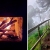 [Image: ¡Conéctate con la Naturaleza en La Palma, Chalatenango! ¡Paga $42 en Lugar de $71 por Estadía de 1 Noche para 4 Personas + 4 Desayunos Típicos + 2 Usos de Columpio!m]