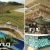 [Image: ¡OFERTA FLASH! ¡Oceana Resort TODO INCLUIDO del 19 al 24 de Junio! ¡Paga Q1,999 en Lugar de Q3,040 por Estadía Familiar para 2 Adultos y 2 Niños (De 0 a 5 Años) en Habitación Doble Standard + Impuestos Incluidos CUPOS LIMITADOS!m]