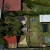 [Image: ¡Paga Q499 en Lugar de Q1,000 por Estadía para 4 Personas en Habitación Tipo Cabaña + Uso de Lancha de Remos + Uso de Instalaciones (Jardines, Hamacas, Fogata y Juegos de Mesa) + Impuestos Incluidos!m]