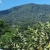 [Image: ¡Un Día Diferente! ¡Paga $30 en Lugar de $50 por Day Pass Para 2 Personas en Villa Oasis Verde, Salcoatitán, Sonsonate + 2 Almuerzos + Merienda + Uso de Instalaciones: Piscina, Jardines, Canopy y Más!m]