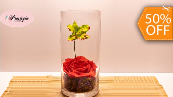 [Imagen:¡Paga $20 en Lugar de $40 por Delicado Arreglo de 1 Rosa Preservada Tamaño XL + 1 Orquidea Artificial en Base Cilindrica de Cristal!]