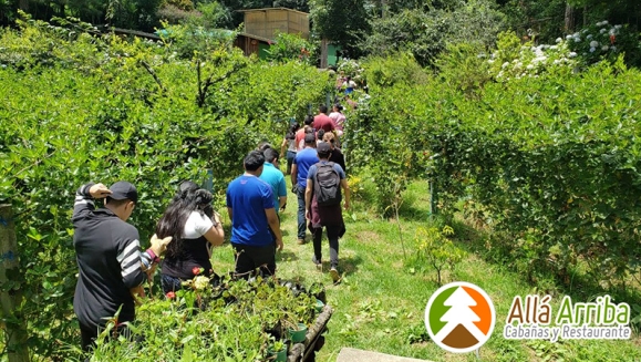 [Image: ¡Paga $60 en Lugar de $112 por 1 Noche en Cabaña para 2 Adultos y 2 Niños o para 3 Adultos + Desayunos Continentales + Orden de 5 Tacos + 30 Minutos de Juegos de Mesa + Caminata en Bosque + Visita al Vivero de Hortalizas + Entretenimiento y Más!m]